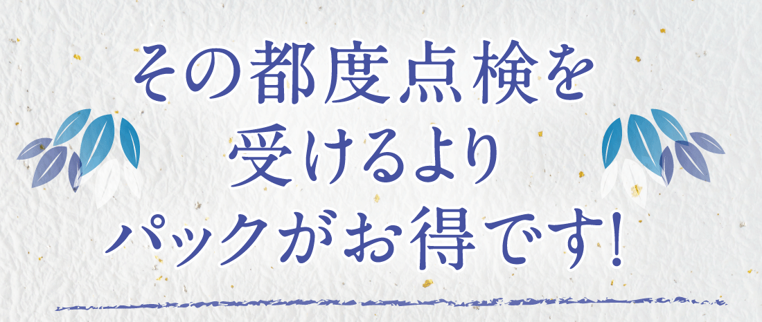その都度点検を受けるよりパックがお得です！