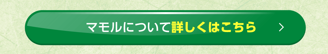 マモルについて詳しくはこちら