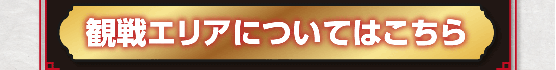 観戦エリアについてはこちら