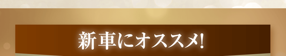 新車にオススメ！